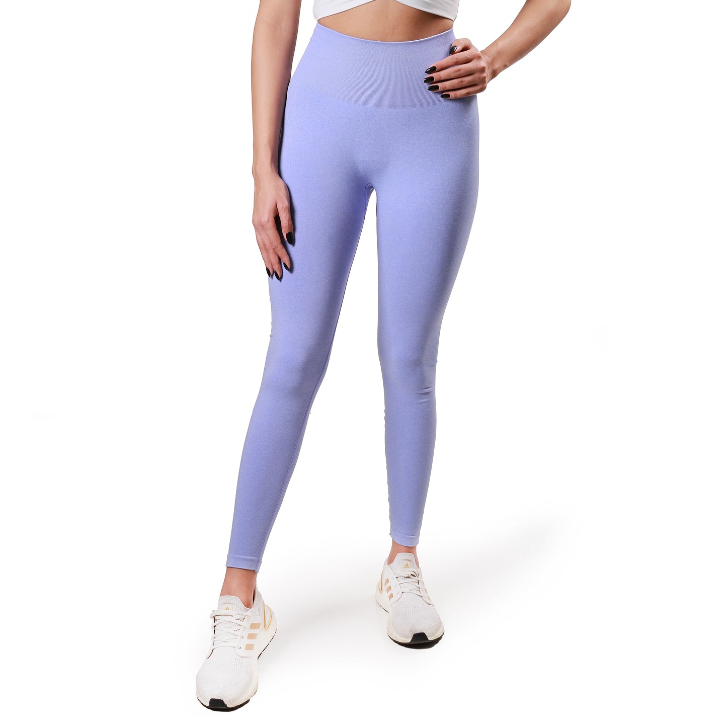 Curve Seamless Leggings "New Edition"