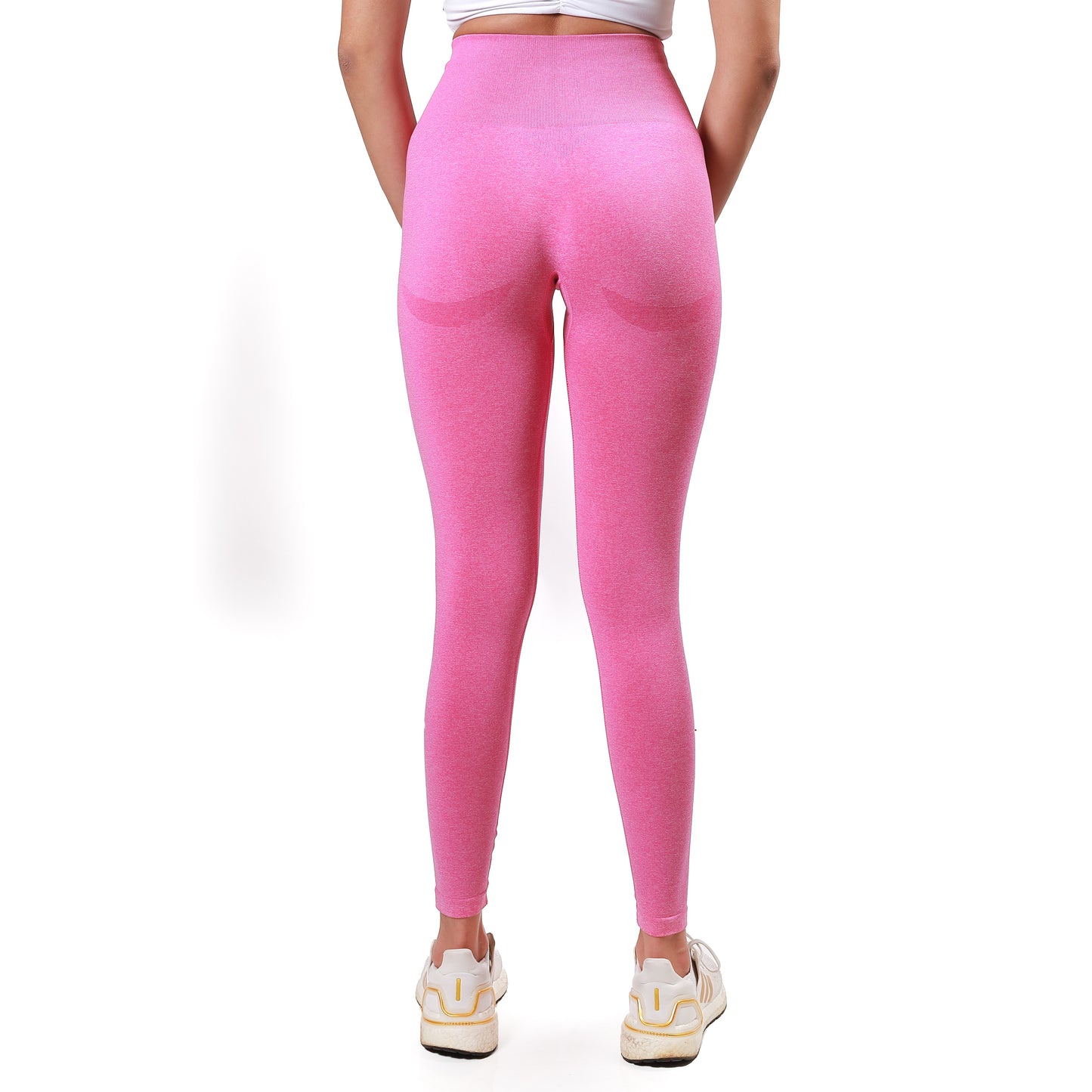 Curve Seamless Leggings "New Edition"